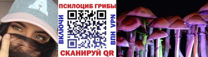 Псилоцибиновые грибы прущие грибы сколько стоит Ясногорск